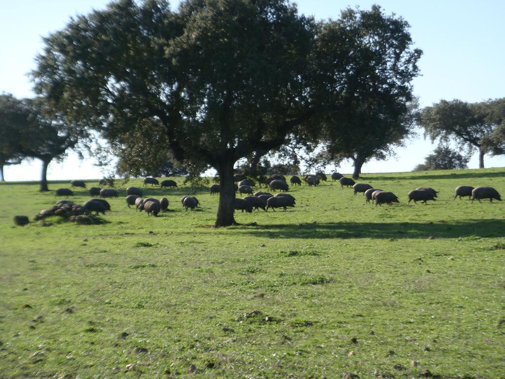 Monte Alto Agroturismo Campo Maior Eksteriør bilde