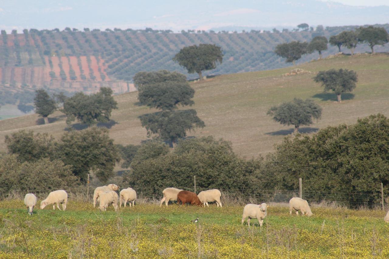 Monte Alto Agroturismo Campo Maior Eksteriør bilde