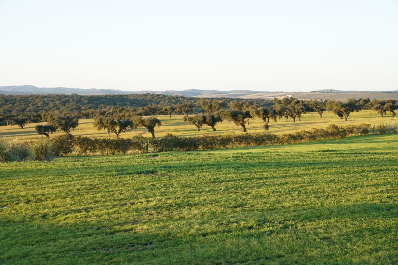 Monte Alto Agroturismo Campo Maior Eksteriør bilde
