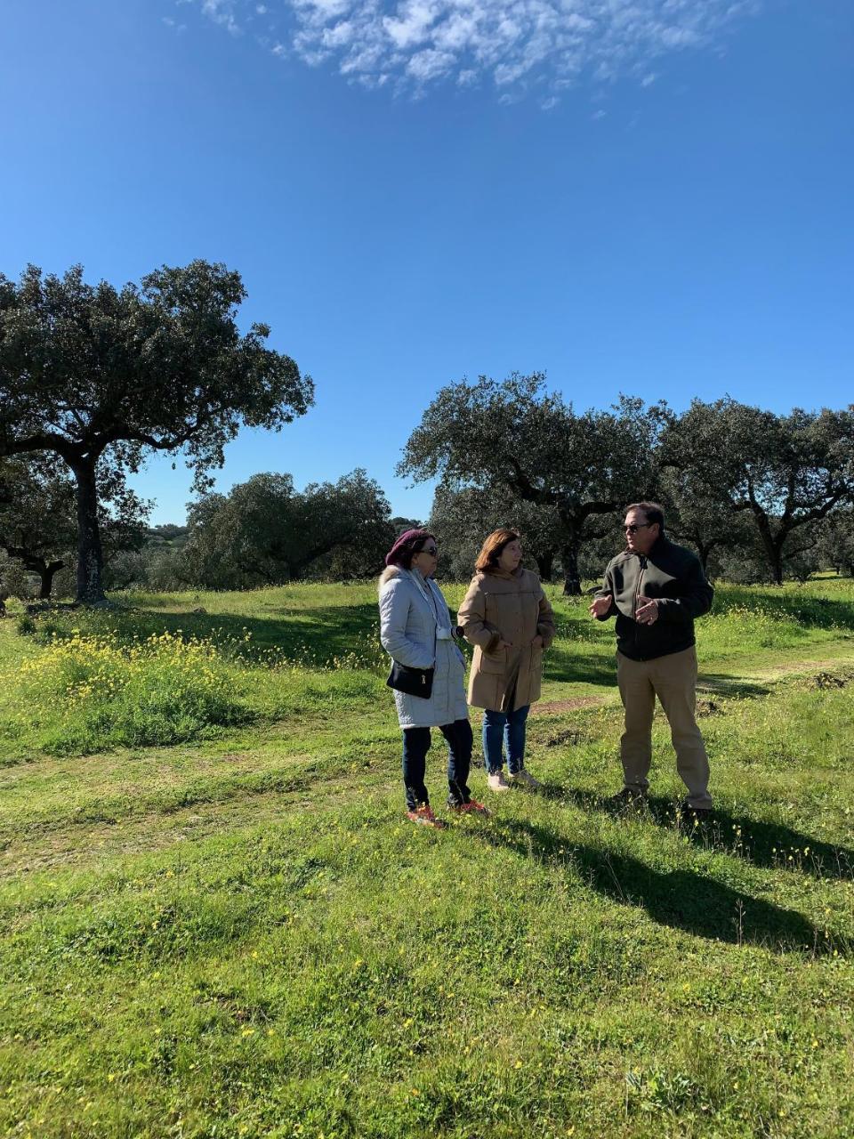 Monte Alto Agroturismo Campo Maior Eksteriør bilde