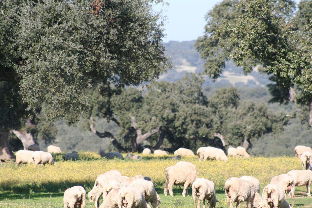Monte Alto Agroturismo Campo Maior Eksteriør bilde