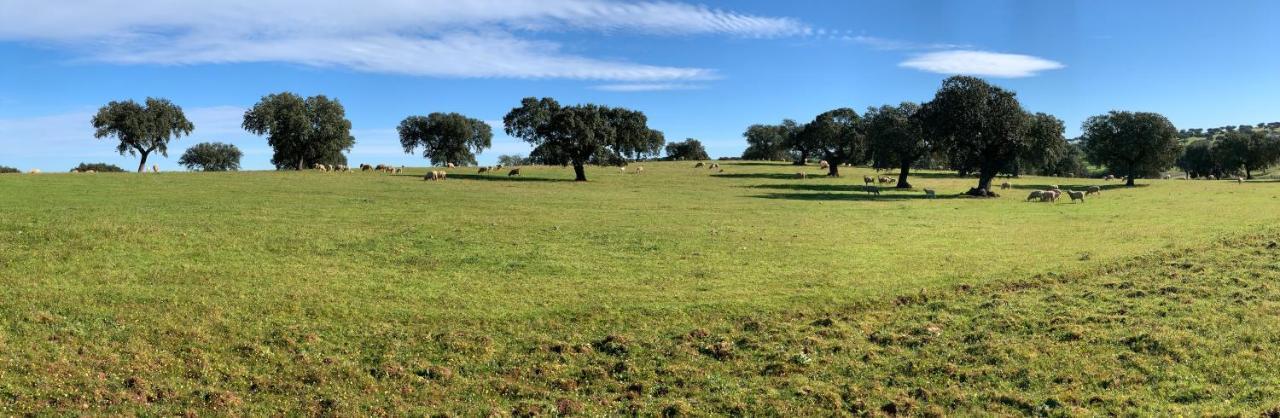 Monte Alto Agroturismo Campo Maior Eksteriør bilde